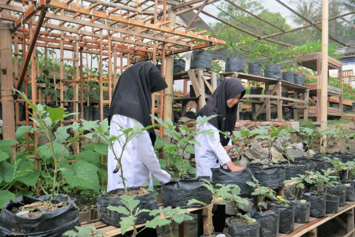 Model pembelajaran hijau dengan cocomesh di pesantren