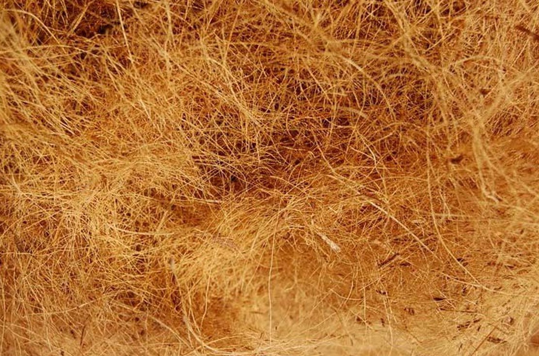 Sabut Kelapa sebagai Bahan Pengisi Natural yang Ramah Lingkungan