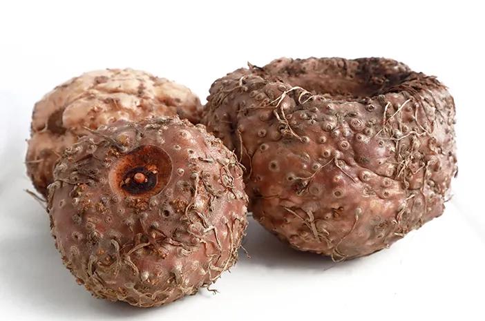 Cara Merajang Porang Cepat untuk Mempermudah Proses Pengolahan