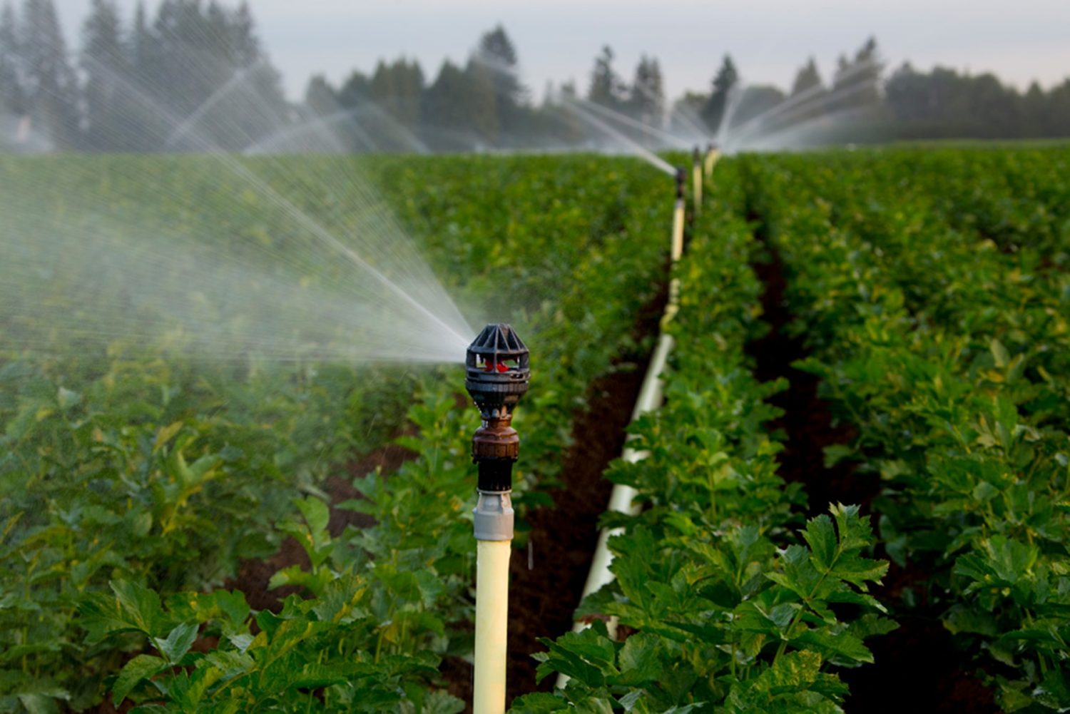 Alat Bantu Irigasi Lahan Pertanian Yang Efisien Dan Praktis