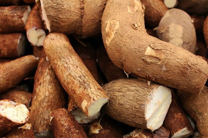 Rahasia Cara Potong Singkong Agar Tipis Dan Renyah Sempurna